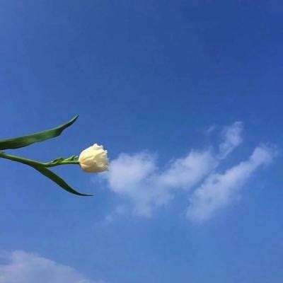 辐射幸存者手游最新版下载