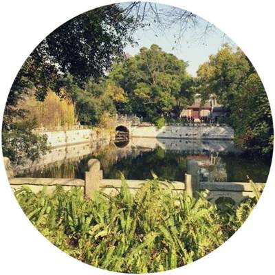 海盗q传手游下载